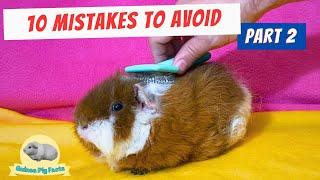 10 Things Guinea Pigs Hate - New Owners MISTAKES