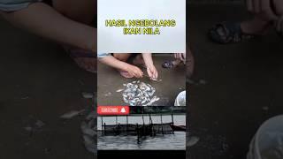 ASYIKNYA NGEBOLANG DI SUNGAI #mancing #ngebolang #fishing #shorts #fyp #masukberanda