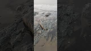 Красивое море!Мой любимый Сахалин #сахалин #море #сахалинскаяобласть