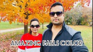 Amazing fall season color || Chicago Illinois || globetrotter alam