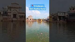 #vrindavan #radhakund #radha #radharani #krishna #krishnaconsciousness #govardhanparikrama
