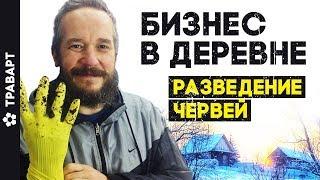 Бизнес в деревне Разведение червей 6 месяцев спустя Жизнь в деревне ТРАВАРТ  Андрей Протопопов 2714