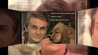 claude françois  25 cm j y pense et puis j oublie #lesclodettes #impala