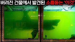 제가 무려 20년간 폐건물 탐사를 하면서 이런 건 처음 봤습니다