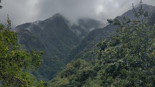 Walking through Levada do Rei in Madeira