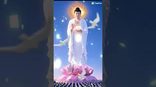 #正能量 #六时佛安吉祥如意 #见闻者好运安康发财 #福慧双修 #光明遍照十方世界 #唸佛眾生摄取不捨