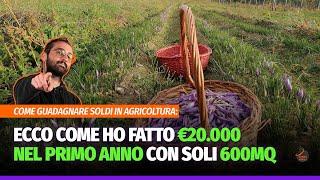 Come guadagnare soldi in agricoltura: ecco come ho fatto €20.000 nel primo anno con soli 600mq