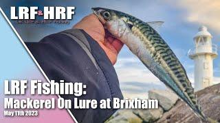 LRF Fishing: Mackerel on Lures at Brixham