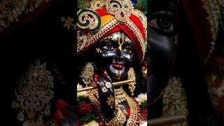 Meri jindagi ko sambhalo Kanhaiya#krishna #bhakti #song #radhakrishna #vrindavan