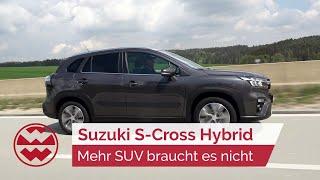 Suzuki S-Cross Hybrid 2022: Mehr SUV braucht es nicht - World in Motion | Welt der Wunder