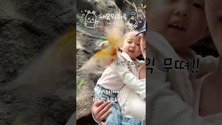 오랜만에 돌아온 #째유의하루 