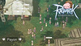 Payon - Theme of Payon 1 Hour (Ragnarok Online Music & Ambience)