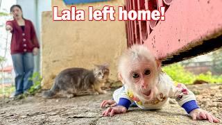 Lala hide mom runs away from home to go out!