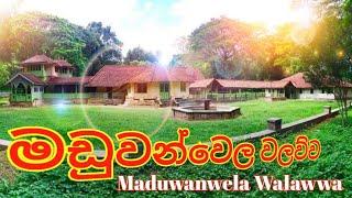 මඩුවන්වෙල වලව්ව Maduwanwela Walawwa