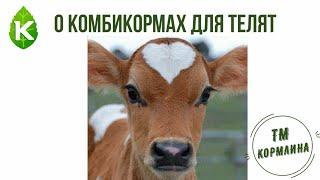 О комбикормах ТМ Кормлина для телят