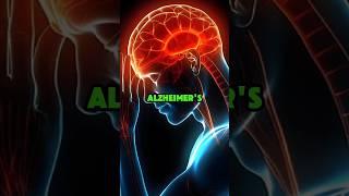 10 Foods for Reducing Risk of Alzheimer's #alzheimer #brainpower #healthyfood #shorts #neuroscience