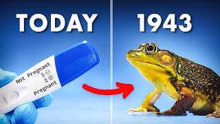 Everything You Didn't Know About Frog Pregnancy Tests