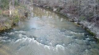 Kisatchie National Forest in Louisiana