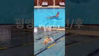 #swimming #수영 #swim #평영 #평영발차기 #평영교정 #평영풀 평영 교정 전/후
