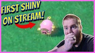First LIVE Shiny! Shiny Lechonk Random Encounter Pokémon Scarlet and Violet! | XcZachX20 Live Stream