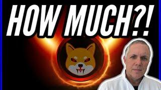 SHIBA INU - HOW MUCH CAN YOU EARN WITH A BURN?!