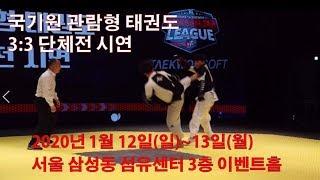 국기원 관람형 태권도 3:3 단체전 시연대회 Kukkiwon Viewing Taekwondo 3 vs 3 Team Exhibition