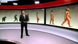 Team reconstructs twomillion-year-old 'human ancestor'
