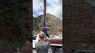 Путешествуем c Владимиром Волошиным TRAVEL video