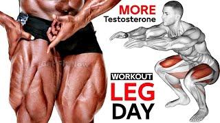 6 Best Huge Leg Exercises - Quadriceps, hamstring,Booty,Thighs | Get Fit Now