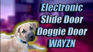 Electronic Doggie Door Wayzn 4 MONTHS LATER REVIEW