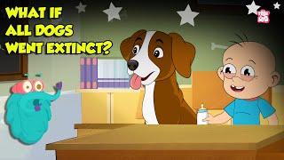 What if All Dogs Disappeared? | If Dogs went Extinct | Importance of Dogs | Dr. Binocs Show