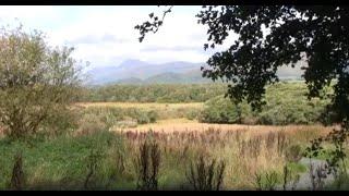 Gartocharn RSPB and Loch Lomond