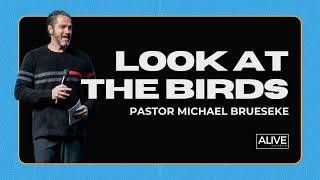 Look at the Birds | Pastor Michael Brueseke