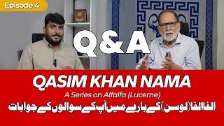 Alfa Alfa (Lucerne) Q & A | Qasim Khan Nama | Hafiz Wasi TV