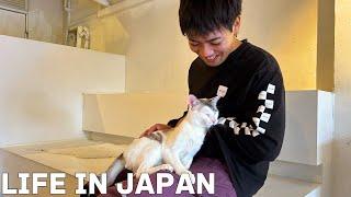 [Vlog] Daily Life in Japan  I went to a cat cafe and felt relaxed.