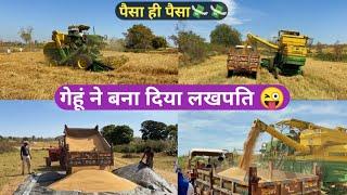 गेहूं की कटाई हुई || Wheat Hervasted || MoHit Dhurv Vlogs