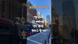 [호주간호가 도전기 #2]“쌀국수에 고수 빼주세요”를 호주영어로 뭐라고 할까?