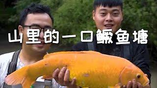 【戶外捕魚vlog】包下山裏的一口鱖魚塘，塘主很實在，要半價賣給我們