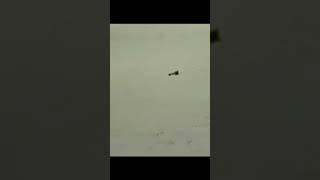 AGM-130 벙커버스터 투하!  이란 핵시설, 정밀 타격 받다