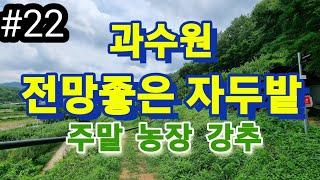 의성부동산#의성땅 #의성토지 #의성땅매매 #의성주말농장 #부동산 #주말농장 #의성전답 과수원#의성임야#