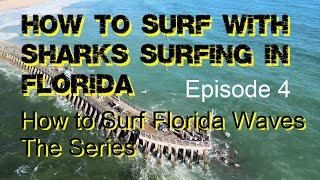 How to Surf Florida Waves, Episode 4, What About All Those Sharks?  Dealing with Sharks in the Wild