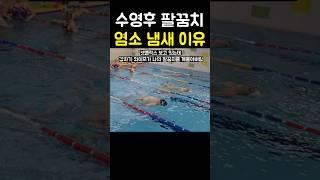 수영후 팔꿈치에서 염소 냄새가 나는 이유