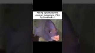 MEME COMPILATION 63  #memecompilation #memes #funnycompilation #youlaughyoulose