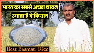 भारत का सबसे अच्छा चावल उगाता है ये किसान  Best Basmati Rice || Technical Farming || #ricefarming