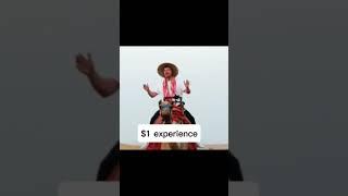 $1 experience #mrbeast #mrbeastshorts #shorts