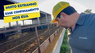 Um confinamento estranho nos EUA. Fiquei sem entender