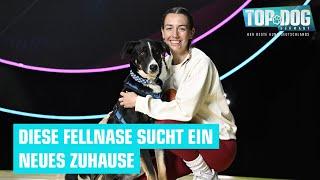 Laura sucht eine neue Familie für Hund Erou ️ | Top Dog Germany 2024