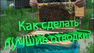 Профессор Кашковский: Отводки какой силы формировать для максимальной отдачи?