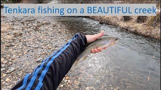 Tenkara fishing for small cutthroat trout on a beautiful little creek.