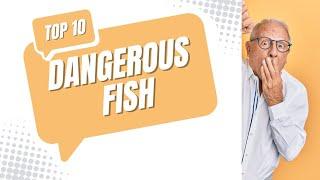 Top 10 Most Dangerous Fish in the world: Deadly Ocean Creatures